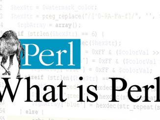 تحميل كتاب المدخل الى لغة البرمجة perl مجانا